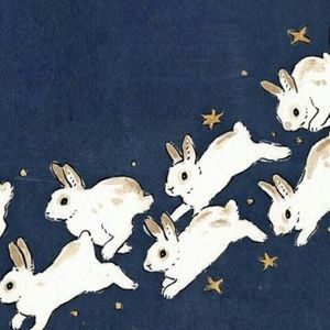 Meet your Posher, Sierra